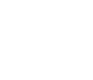 Logo h4l 400 w