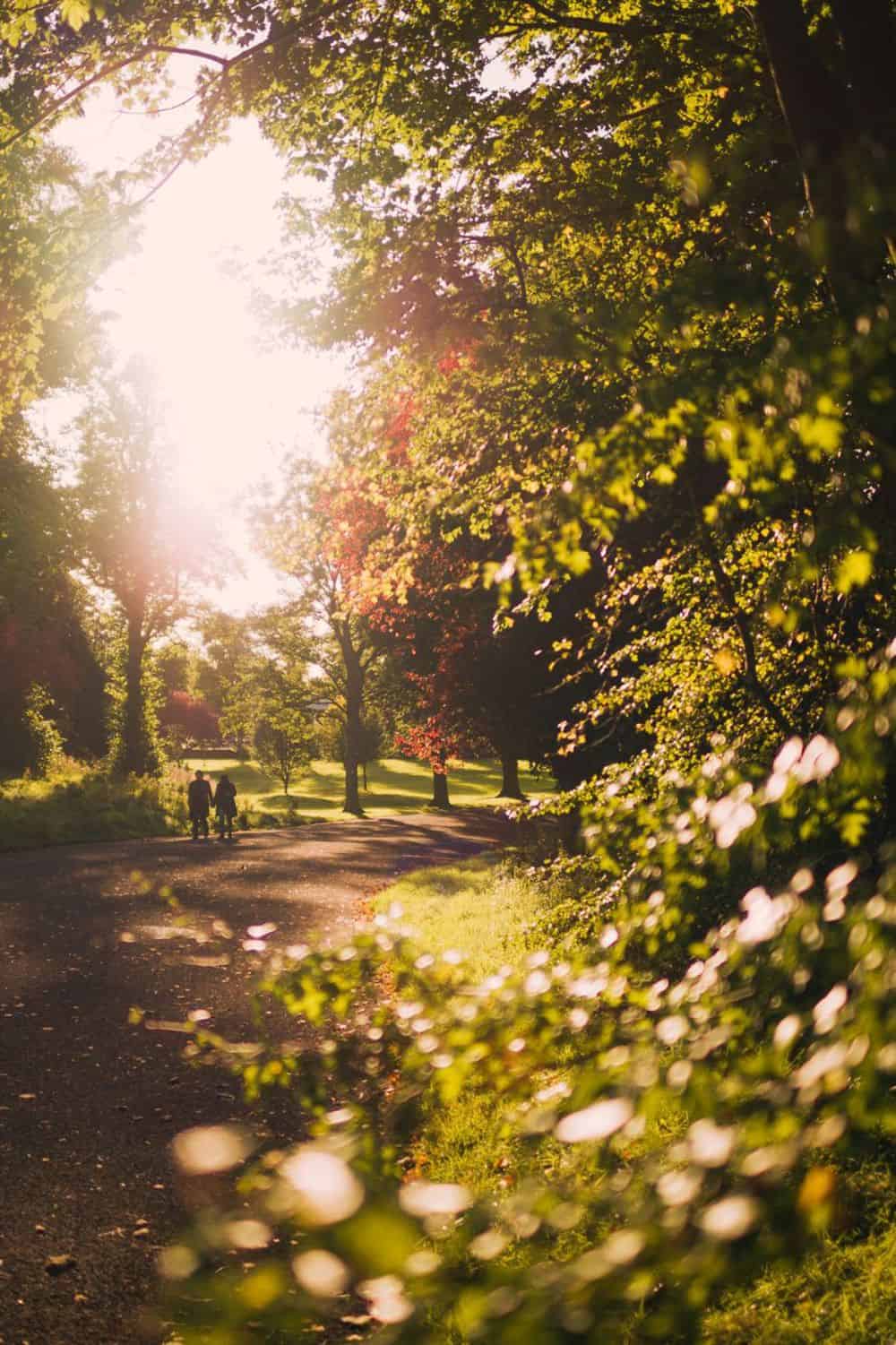 We know that nature recharges us, relaxes us, that's why h4l means neighborhoods with a lot of green space and areas specially designed to spend time outside.