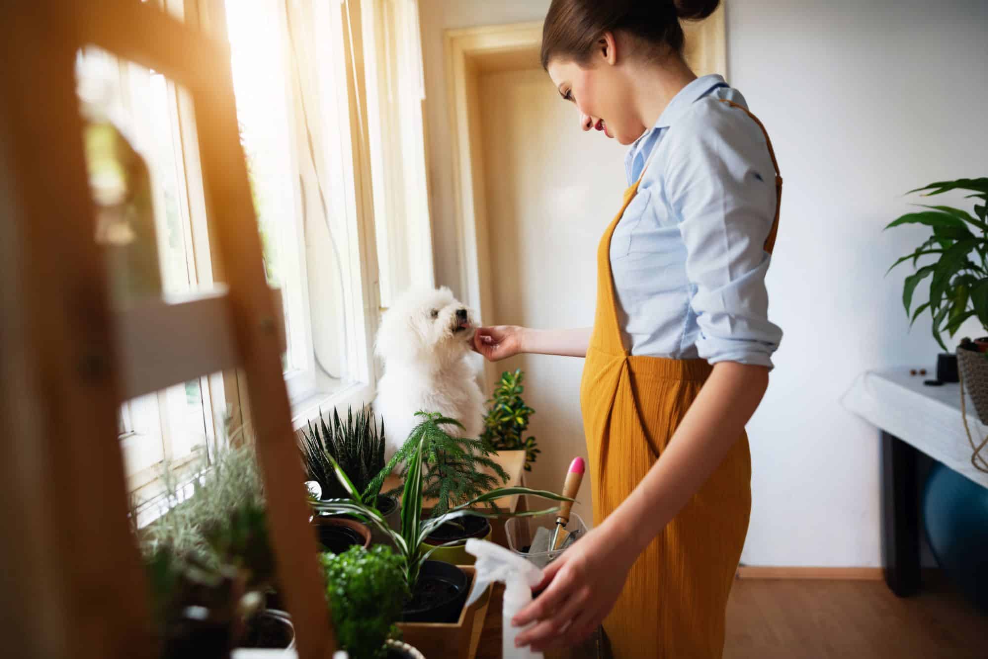 Apartamente de vânzare - ghidul primilor pași pentru a alege apartamentul perfect pentru tine
